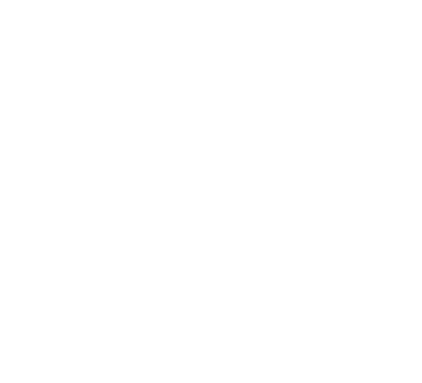 3806